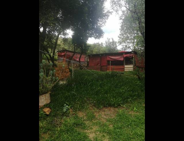 FARM FOR SALE IN DE WILDT